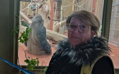 Osvrt na mobilnost projekta  Erasmus akreditacija – Rumunjska